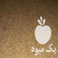 فروش فوق العاده تخم نارنج در گتاب در گروه خرید فروش عمده نارنج - میوه شمال جنوب خرید و فروش عمده در یکمیوه