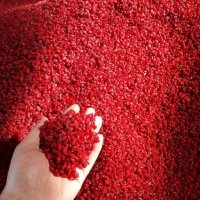 فروش انواع زرشک امسالی در اردبیل در گروه خرید و فروش زرشک در یکمیوه