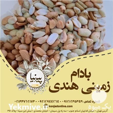 فروش بادام زمینی مخصوص کره گیری در تهران در گروه بادام - درختی کوهی زمینی فروش عمده در یکمیوه -عکس1