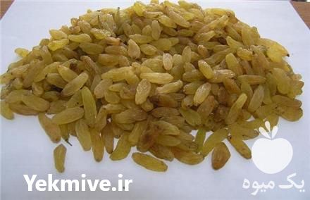 فروش کشمش طلایی در کاشمر در گروه آجیل - فروش عمده محصولات در یکمیوه -عکس1