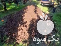 فروش کود حیوانی گاوی و گوسفندی در مازندران در گروه خرید فروش کود و مواد شیمیایی - اوره پتاس مرغی کمپوست آهن در یکمیوه -عکس1