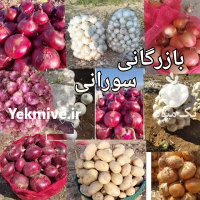 سیب زمینی و پیاز با کیفیت بالا در نجف آباد در گروه خرید فروش عمده سیب زمینی - زودرس دیررس آگریا اسپریت اردبیل همدان در یکمیوه -عکس1