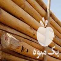 فروش چوب سقفی در اصفهان در گروه خرید فروش عمده چوب- زغال چوب گردو تبریزی خام در یکمیوه