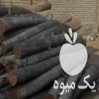 خریدار انواع چوب صنوبر در چابکسر در گروه خرید فروش عمده چوب- زغال چوب گردو تبریزی خام در یکمیوه
