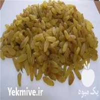 فروش کشمش طلایی در کاشمر در گروه آجیل - فروش عمده محصولات در یکمیوه