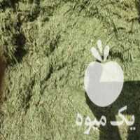 فروش ذرت علوفه ای در روانسر در گروه خوراک دام و طیور - پرواری شیری علوفه یونجه در یکمیوه