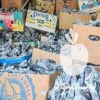 فروش پخش زغال پسته سیاه و سفید در زیباشهر در گروه خرید فروش عمده چوب- زغال چوب گردو تبریزی خام در یکمیوه