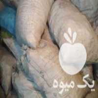 فروش ذغال پسته مرغوب در کرمان  در گروه خرید فروش عمده چوب- زغال چوب گردو تبریزی خام در یکمیوه