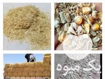 فروش پخش عمده خوراک دام یونجه در اردبیل در گروه خوراک دام و طیور - پرواری شیری علوفه یونجه در یکمیوه -عکس1