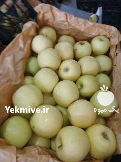 فروش سیب قرمز و سفید در میاندوآب در گروه خرید فروش عمده سیب - زرد و قرمز گلاب پاییزه در یکمیوه -عکس1