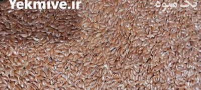 بذر تخم کتان قهوه‌ای در چورزق در گروه خرید فروش عمده دانه های روغنی - کلزا خردل آفتابگردان بادام کنجد سویا در یکمیوه -عکس1