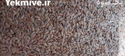 بذر تخم کتان قهوه‌ای در چورزق در گروه خرید فروش عمده دانه های روغنی - کلزا خردل آفتابگردان بادام کنجد سویا در یکمیوه -عکس2