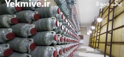 خیارشور ویژه همدان فیت دار در دمق در گروه محصولات ترشی - گل کلم مخلوط لیته هفت بیجار در یکمیوه -عکس4