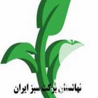 فروش نهال میوه زیر قیمت بازار در تهران در گروه خرید فروش نهال - انواع گردو پسته بادام سلطانی انگور در یکمیوه