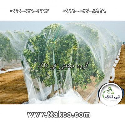 فروش توری شید | توری ضد سرما در تهران در گروه خرید فروش انواع پوشش ها و ورق ها - پلی استر پلی کربنات نایلون در یکمیوه -عکس1