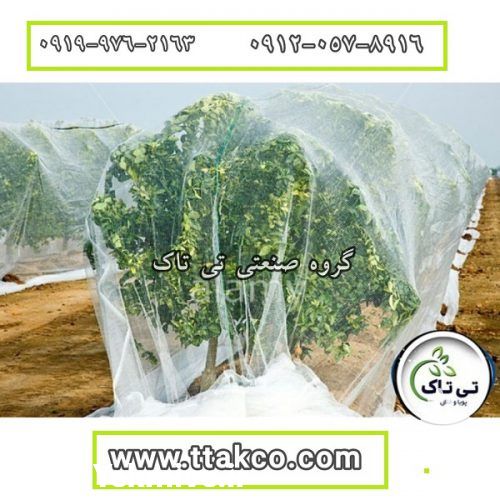 قیمت و خرید توری شید ضد سرما شید ضد تکرگ در کرج در گروه خرید فروش انواع پوشش ها و ورق ها - پلی استر پلی کربنات نایلون در یکمیوه -عکس1