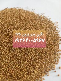 فروش بذر یونجه و علوفه پایه بلند در تهران در گروه خرید فروش بذر - انواع محصول کشاورزی گوجه کتان میوه درخت در یکمیوه