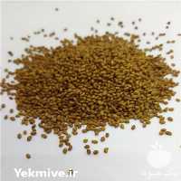 فروش بذر و یونجه در شرکت نگین بذر زرین در تبریز در گروه خرید فروش بذر - انواع محصول کشاورزی گوجه کتان میوه درخت در یکمیوه