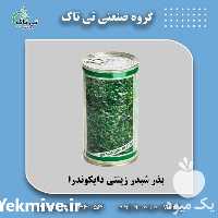 فروش بذر دایکوندرا | بذر چمن | بذر چمن فضای سبز در تهران در گروه خرید فروش بذر - انواع محصول کشاورزی گوجه کتان میوه درخت در یکمیوه