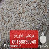 فروش کنجد افغانی و پاکستانی در مشهد در گروه خرید فروش عمده سایر محصولات زراعی سر زمین در یکمیوه