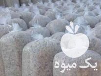 فروش ذرت علوفه ای بسته بندی در سراب در گروه خرید فروش عمده چغندر - قند لبویی قرمز سفید در یکمیوه -عکس1