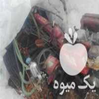 فروش کولتیواتور شخم زن 10 اسب کاماکاما در مراغه در گروه خرید فروش ماشین آلات کشاورزی - تراکتور تیلر کمباین مدرن در یکمیوه