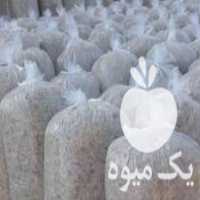 فروش ذرت علوفه ای بسته بندی در سراب در گروه خرید فروش عمده چغندر - قند لبویی قرمز سفید در یکمیوه