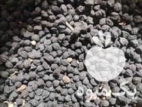 فروش 2 تن نخود سیاه مرغوب در اسدآباد در گروه خرید فروش عمده غلات و حبوبات - لپه عدس نخود لوبیا در یکمیوه -عکس1