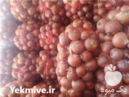 فروش پیاز و گوجه فرنگی و سیب زمینی در زنجان در گروه خرید فروش عمده سیب زمینی - زودرس دیررس آگریا اسپریت اردبیل همدان در یکمیوه -عکس1