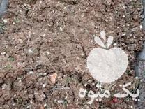 فروش کود درجه یک مرغی در ساری در گروه خرید فروش کود و مواد شیمیایی - اوره پتاس مرغی کمپوست آهن در یکمیوه -عکس1