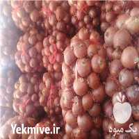 فروش پیاز و گوجه فرنگی و سیب زمینی در زنجان در گروه خرید فروش عمده سیب زمینی - زودرس دیررس آگریا اسپریت اردبیل همدان در یکمیوه