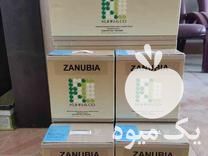 فروش بذر چغندر قند ZANUBIA در سمنان در گروه خرید فروش عمده چغندر - قند لبویی قرمز سفید در یکمیوه -عکس1