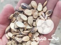 فروش تخمه هندوانه در ملایر در گروه آجیل - فروش عمده محصولات در یکمیوه -عکس1