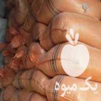 فروش سبوس برنج یا آکوته دانه دار توافقی در لنگرود در گروه خرید فروش عمده برنج - نیم دانه عنبر بو هاشمی کاظمی هندی پاکستانی در یکمیوه