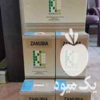 فروش بذر چغندر قند ZANUBIA در سمنان در گروه خرید فروش عمده چغندر - قند لبویی قرمز سفید در یکمیوه