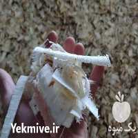 فروش تولید پوشال مرغداری در قزوین در گروه تجهیزات دام و طیور - خرید فروش نو دسته دوم در یکمیوه