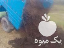 فروش کود گاوی پوسیده در سمنان در گروه خرید فروش کود و مواد شیمیایی - اوره پتاس مرغی کمپوست آهن در یکمیوه -عکس1