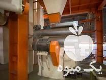فروش نصب و راه اندازی کارخانه پلت دان در باغ ملک در گروه خرید فروش ابزار ها و تجهیزات کشاورزی - دستی برقی ماشینی بیل کلنگ در یکمیوه -عکس1