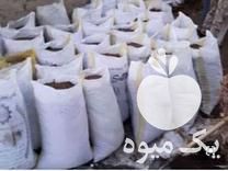 فروش نهال کود خاک باغچه ماسه بادی در مشهد در گروه خرید فروش کود و مواد شیمیایی - اوره پتاس مرغی کمپوست آهن در یکمیوه -عکس1