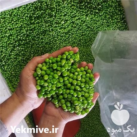 فروش عمده نخود سبز منجمد در اصفهان در گروه خرید فروش عمده نخود - فرنگی خام سبز فروش عمده در یکمیوه -عکس1