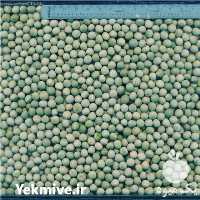 فروش عمده نخود سبز خشک در اصفهان در گروه خرید فروش عمده نخود - فرنگی خام سبز فروش عمده در یکمیوه