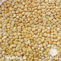 فروش عمده ذرت منجمد در اصفهان در گروه خرید فروش عمده ذرت - بلال مکزیکی علوفه دانه کشاورز در یکمیوه