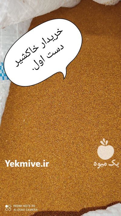 مرکز خرید و فروش خاکشیر بذری در شیراز در گروه خرید فروش عمده گیاهان دارویی - معطر خشک خواص دار در یکمیوه -عکس2