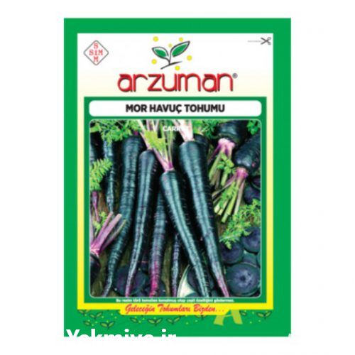 فروش عمده بذر یا تخم هویج سیاه در مهاباد در گروه خرید فروش بذر - انواع محصول کشاورزی گوجه کتان میوه درخت در یکمیوه -عکس1