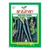 فروش عمده بذر یا تخم هویج سیاه در مهاباد در گروه خرید فروش بذر - انواع محصول کشاورزی گوجه کتان میوه درخت در یکمیوه