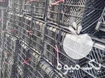 فروش سبد گوجه ای پرتقال نارنگی در ساری در گروه خرید فروش انواع سبد - میوه پلاستیکی چوبی گل در یکمیوه -عکس1