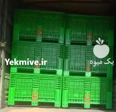 تولید و فروش باکس پالت پلاستیکی در رشت در گروه خرید فروش تجهیزات بسته بندی - انواع دستگاه ها و لوازم در یکمیوه -عکس1