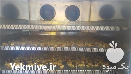 فروش خشک کن قارچ خشک کن سبزی خش کن صابون خشک کن کشک در ارومیه در گروه خشک کن - میوه سبزی صنعتی خدمات دستگاه در یکمیوه -عکس1