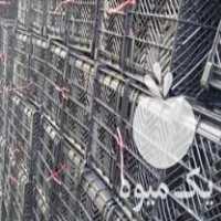 فروش سبد گوجه ای پرتقال نارنگی در ساری در گروه خرید فروش انواع سبد - میوه پلاستیکی چوبی گل در یکمیوه