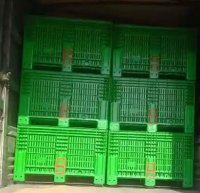 تولید و فروش باکس پالت پلاستیکی در رشت در گروه خرید فروش تجهیزات بسته بندی - انواع دستگاه ها و لوازم در یکمیوه